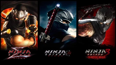 NINJA GAIDEN: Master Collection МИР АВТО