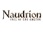 🔥 Naudrion: Fall of The Empire | Steam RU+UA+KZ+CIS 🔥