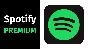 🏆Ключ активации 12 МЕСЯЦЕВ (Gift) SPOTIFY💎PREMIUM🌏⚡️