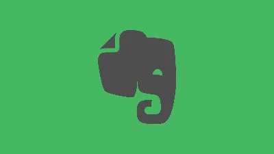 ✅ Evernote Professional 1 year subscription