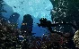Call of Duty: Ghosts (Steam key/ RU + CIS)