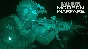 ✅Call of Duty: Modern Warfare 2019 🕓 АРЕНДА (PC)