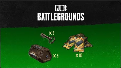 🔑 PUBG ✅2024 Survivor Pack № 1✅ Xbox GLOBAL code🔑