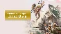 American Conquest: Fight Back STEAM GIFT Russia + Row