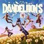 🔥 Fortnite Packs to choose🔥