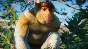 ✅Planet Zoo: Southeast Asia Animal Pack ⚫STEAM🔑KEY⭐DLC