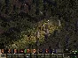 Jagged Alliance 2 - Wildfire STEAM KEY🔑 RUSSIA+CIS