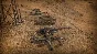 Codename Panzers Bundle STEAM KEY🔑 RUSSIA+CIS