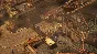 Shadow Tactics: Blades of the Shogun STEAM KEY🔑 RUSSIA