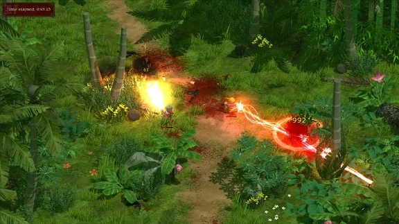 Magicka DLC Vietnam (Steam key / Region Free)