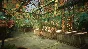 ✅ Garden Life: A Cozy Simulator Xbox One|X|S activation