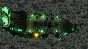 Cursed Crew - STEAM GIFT РОССИЯ