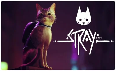 🍓 Stray (PS4/PS5/RU) П3 - Активация