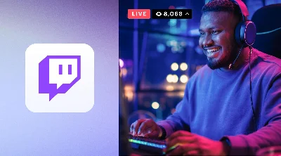 Twitch Viewers Online \ Hourly Plan \ Quality