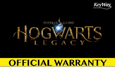 🧙 ⭐ Hogwarts Legacy DELUXE Steam ⭐ 🧙 offline