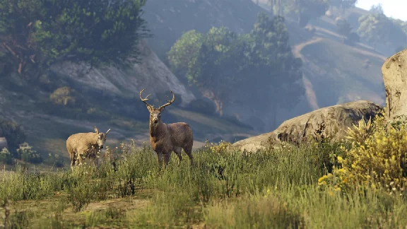 🔑 GRAND THEFT AUTO V: PREMIUM EDITION🔥XBOX КЛЮЧ