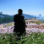 🔲Ghost of Tsushima DIRECTOR´S CUT 🔲STEAM GIFT