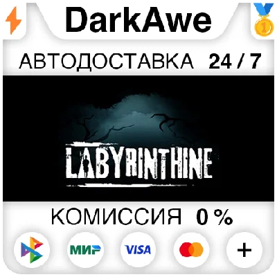 Labyrinthine STEAM•RU ⚡️АВТОДОСТАВКА 💳0%