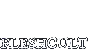 🔥 Fleshcult | Steam RU+UA+KZ+CIS 🔥