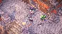 Minecraft Dungeons - Fauna Faire Adventure Pass DLC