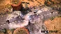 Death Rally (Steam Gift Россия)