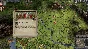 🌉 Crusader Kings II: The Reapers Due 🛍️ Steam DLC
