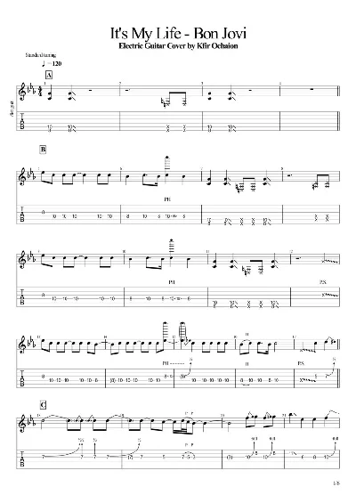 Tabs Kfir_It´s My Life - Bon Jovi