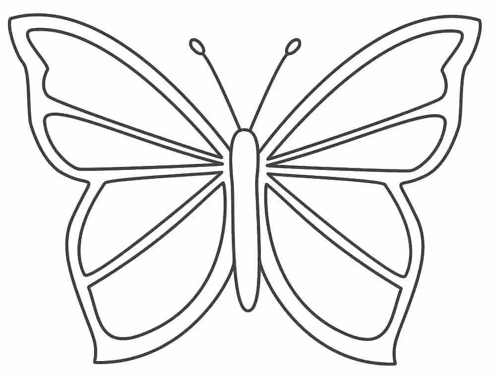 Butterfly stencils for cutting out templates