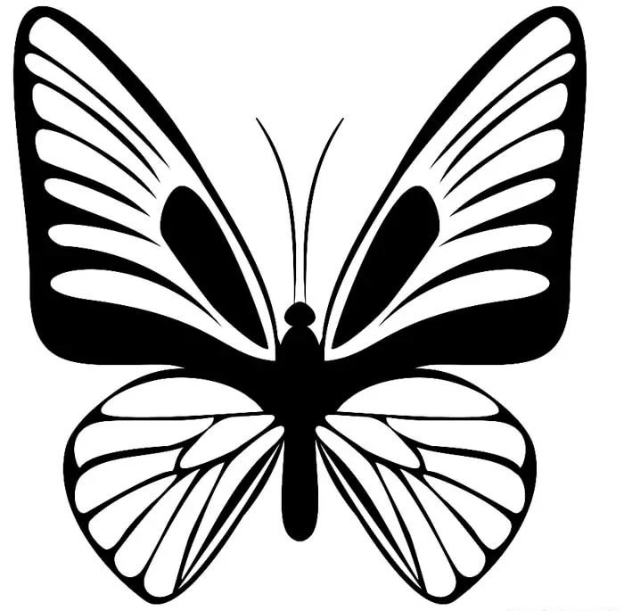 Butterfly stencils for cutting out templates