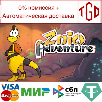 🔥 Zniw Adventure | Steam RU+UA+KZ+CIS 🔥