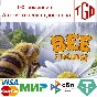 🔥 Bee Simulator | Steam RU+UA+KZ+CIS 🔥