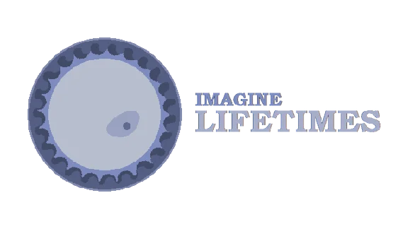 🔥 Imagine Lifetimes | Steam Russia 🔥