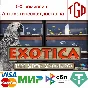🔥 Exotica: Petshop Simulator | Steam РУ+UA+KZ+СНГ🔥