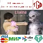 🔥 Lilaina: Space Bounty Hunter | Steam RU+UA+KZ+CIS 🔥