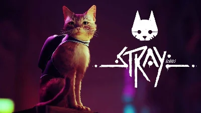 ⭐️Stray⭐️Xbox one & series X | S + PC