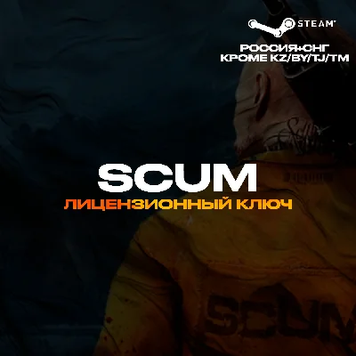 📀SCUM - Ключ Steam [РФ+СНГ, КРОМЕ КЗ+РБ+TJ+TM]