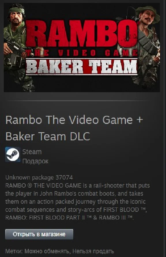 Rambo The Video Game + Baker Team DLC STEAM Gift GLOBAL