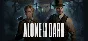 Alone in the Dark (Steam Gift Россия)