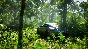 🚘Forza Horizon 5 ALL DLC🚘XBOX ONE/XS +PC✅ACTIVATION