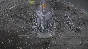 🔥RIOT: Civil Unrest\Steam\Worldwide + RU\Key