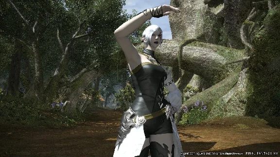 FINAL FANTASY XIV Online - Collector´s Xbox Series X|S