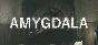 Amygdala - STEAM GIFT РОССИЯ