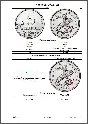 Catalog prices for coins of Russia.