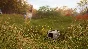 ✅theHunter: Call of the Wild Ambusher Pack ⭐Steam\DLC⭐