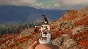 ✅theHunter: Call of the Wild High Caliber Weapon Pack🔑