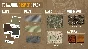 ✅theHunter Call of the Wild Te Awaroa Cosmetic Pack DLC