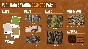 ✅theHunter: Call of the Wild Vurhonga Savanna Cosmetic