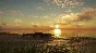 ✅theHunter Call of the Wild Emerald Coast Australia⭐Key
