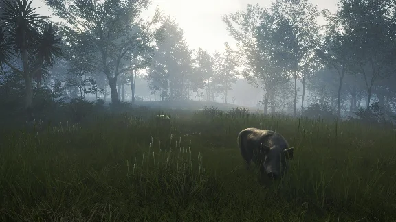 ✅theHunter Call of the Wild Te Awaroa National Park DLC