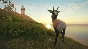 ✅theHunter Call of the Wild Te Awaroa National Park DLC